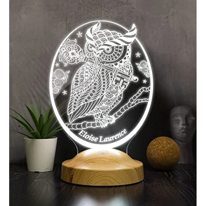 Baykuş Tasarımlı Kişiye Özel 3D Led Gece Lambası – Dekoratif Lamba, Baykuş Severlere Masa Lambası, Hayvan Temalı Işıklı Hediye