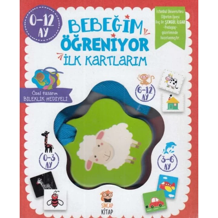 Bebeğim Öğreniyor - İlk Kartlarım (0 - 12 Ay)