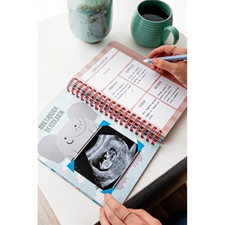 Bebek Anı ve Anne Hamile Albümü Kız+ 241 Sticker