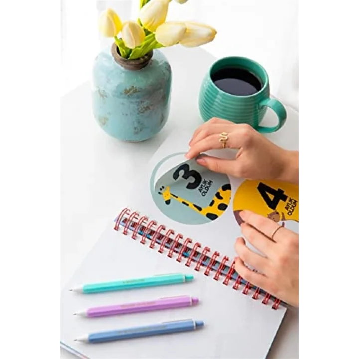 Bebek Anı ve Anne Hamile Albümü Kız+ 241 Sticker