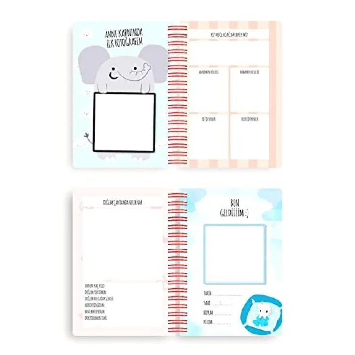 Bebek Anı ve Anne Hamile Albümü Kız+ 241 Sticker