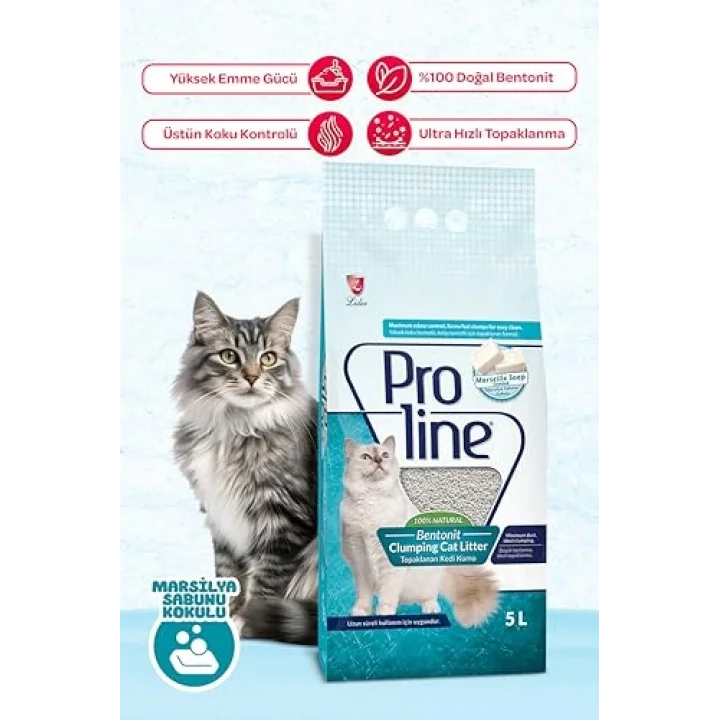 Bentonit Sabun Kokulu Kedi Kumu, 5 L