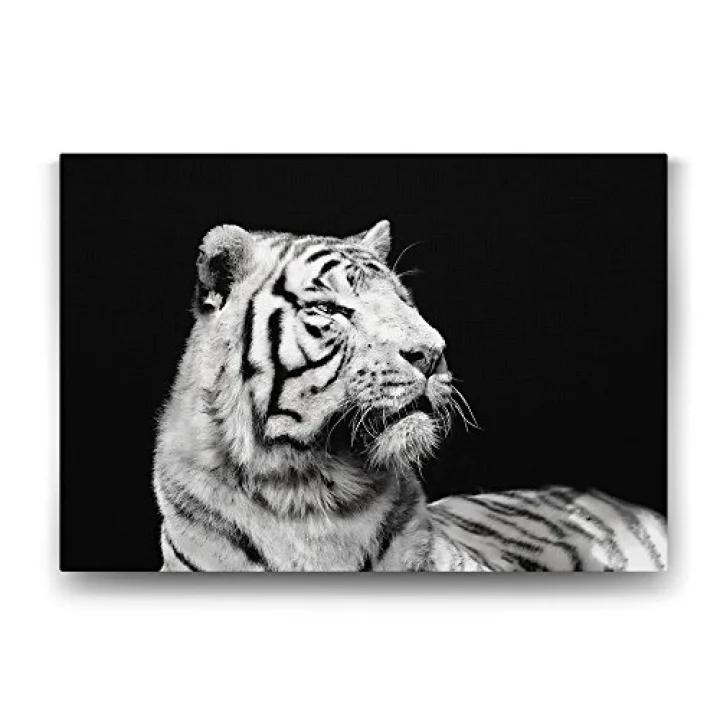 Beyaz Kaplan Profil Tablosu - 60x40cm