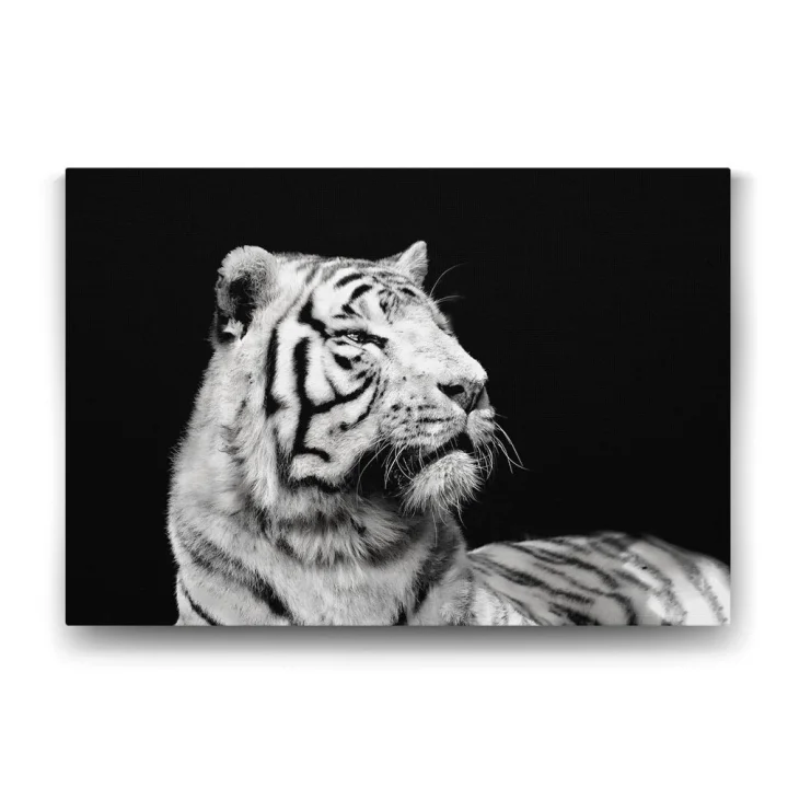 Beyaz Kaplan Profil Tablosu - 60x40cm