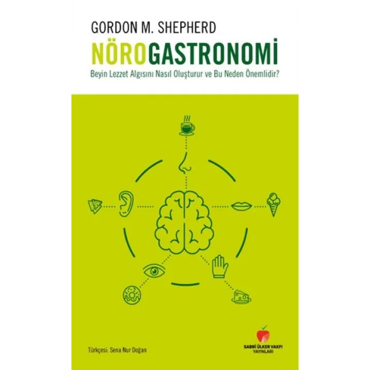 Beyin Lezzet Algısını Nasıl Oluşturur ve Bu Neden Önemlidir?