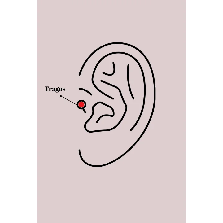 Mey İthalat® 316L Çelik Gümüş Renk Üçgen Zirkon Taşlı Tragus Piercing