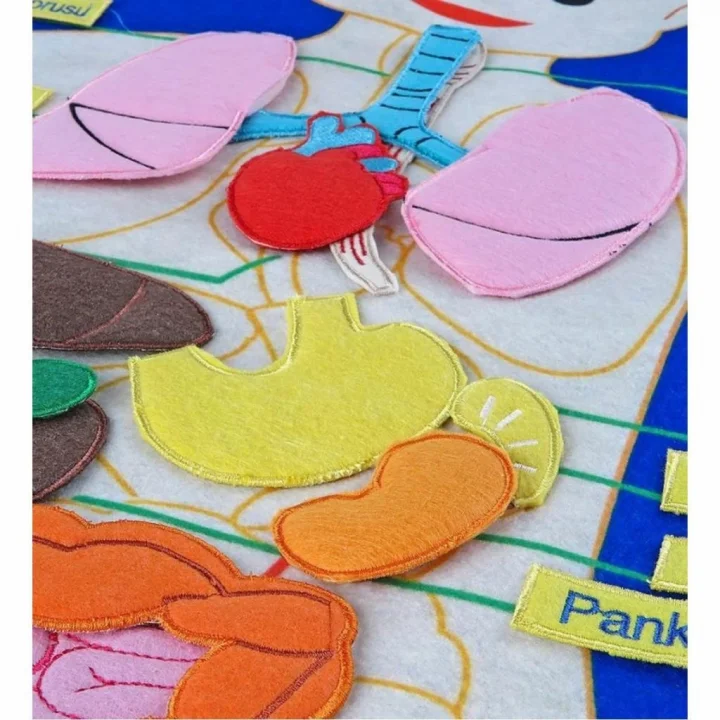 Mey İthalat® AND-5120 CIRTLI VÜCUDUMUZ PANO