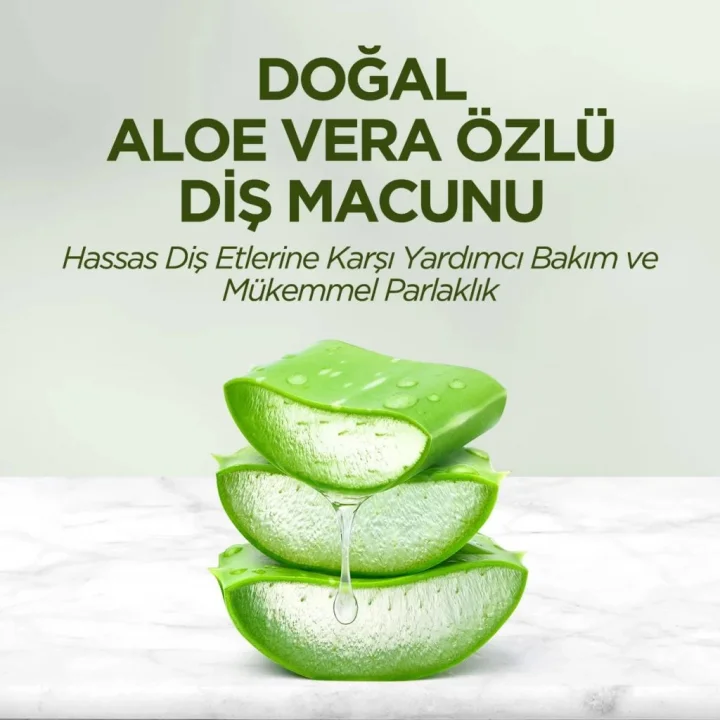 Mey İthalat®   Doğal Diş Macunu 90 Gr Aloe Vera
