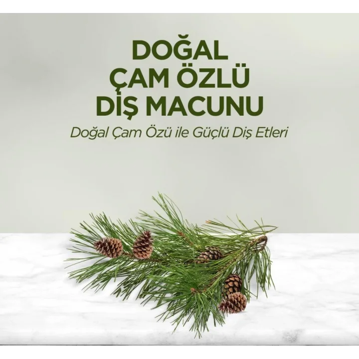 Mey İthalat®   Doğal Diş Macunu 90 Gr Çam Özlü