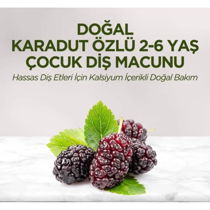 Mey İthalat®   Doğal Karadut Özlü Diş Macunu 2-6 Yaş 60 ml