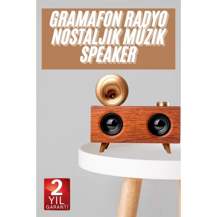 Mey İthalat® Gramafon Nostaljik Radyo Yüksek Ses Kalitesi USB TF Kart Aux