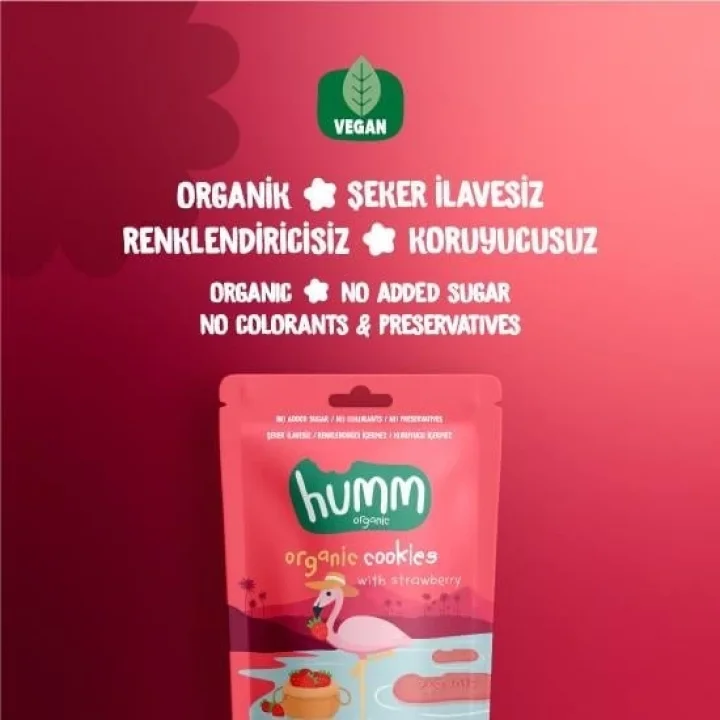 Mey İthalat® Organik Vegan Çilekli Kurabiye 55 Gr