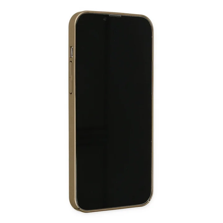 Mey İthalat®  iPhone 13 Pro Kılıf Jack Magneticsafe Lens Silikon - Gold