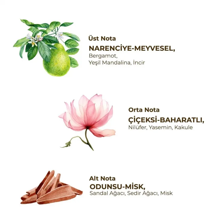 Mey İthalat®   Kadın Roll On Deodorant 75 ml Active