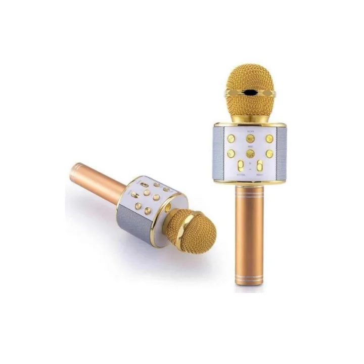 Mey İthalat® Karaoke Mikrofon Dahili Hoparlörlü Sd-usb-aux Girişli Bluetooth Hoparlör