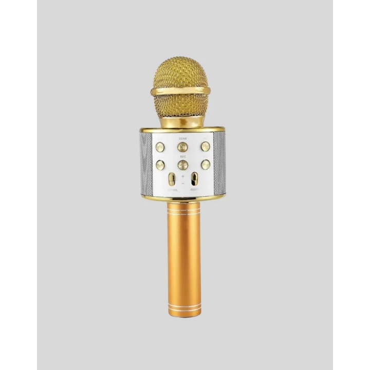 Mey İthalat® Karaoke Mikrofonu Bluetooth USB AUX Girişli Yankı Efektli