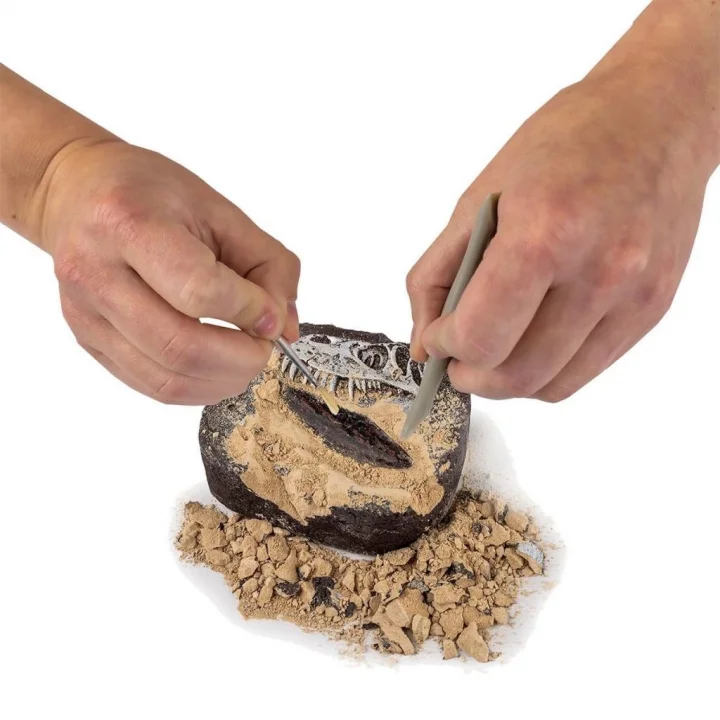 Mey İthalat® NAT06002Dino Kazı Kiti - RTNGDINO2 +8 yaş