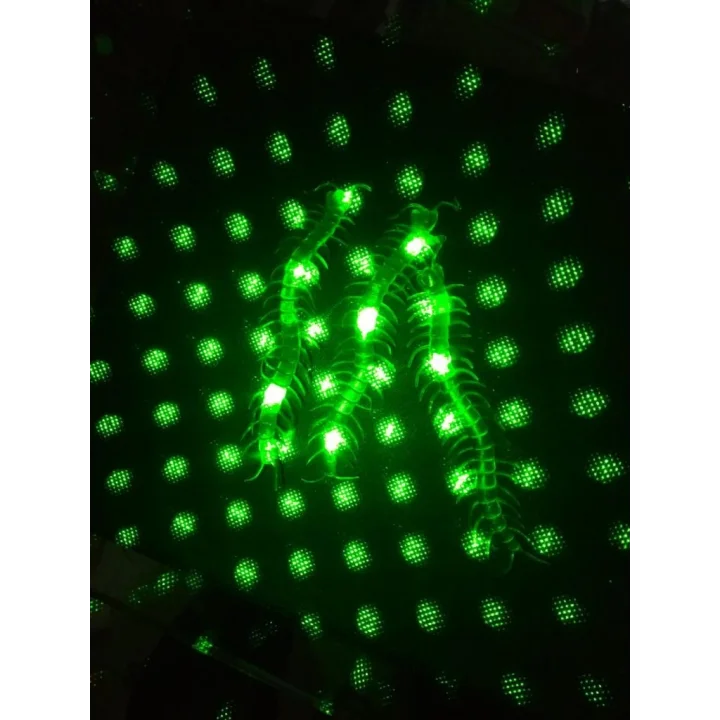 Mey İthalat® Şaka Yılan ve Kırkayak Karışık 36 Adet