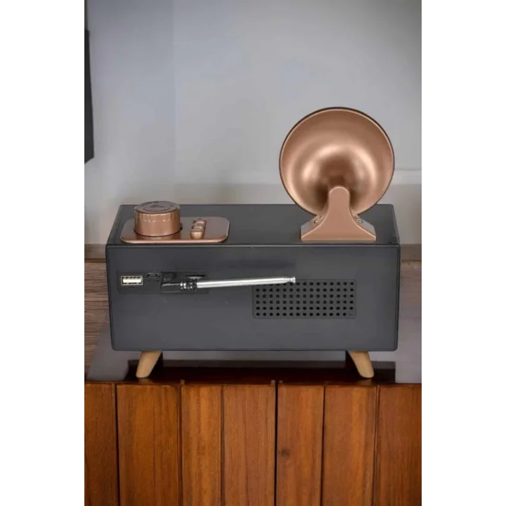 Mey İthalat® Nostaljik Görünümlü Bluetooth Bağlantılı Speaker