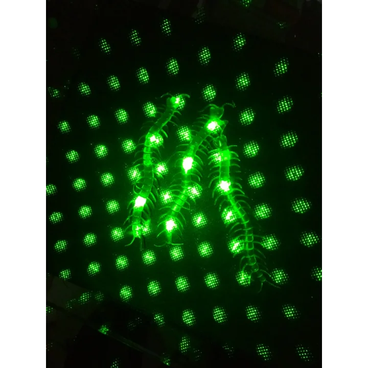 Mey İthalat® Şaka Yılan ve Kırkayak Karışık 36 Adet