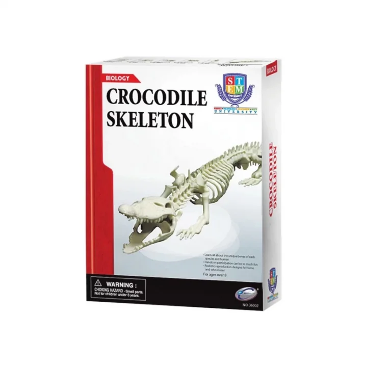 Mey İthalat® Timsah İskeleti Bilim Seti