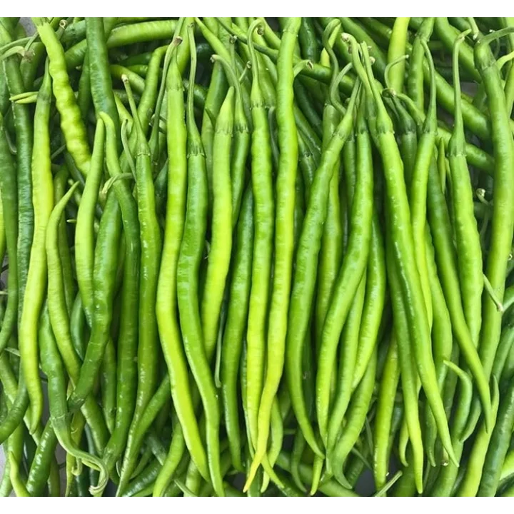 BİBER KIL ACI (ÇOKLU TOHUM) - 5 Gram