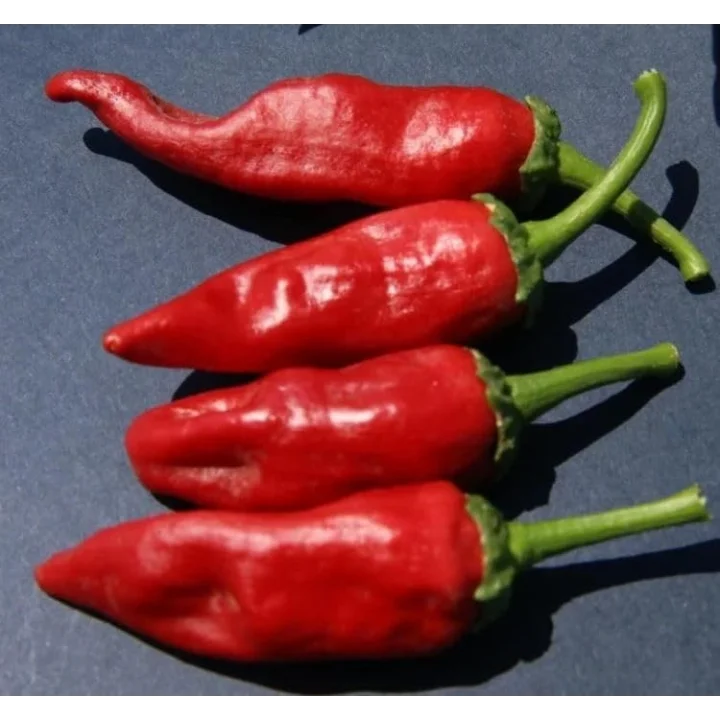BİBER MARAŞ (ÇOKLU TOHUM) - 5 Gram