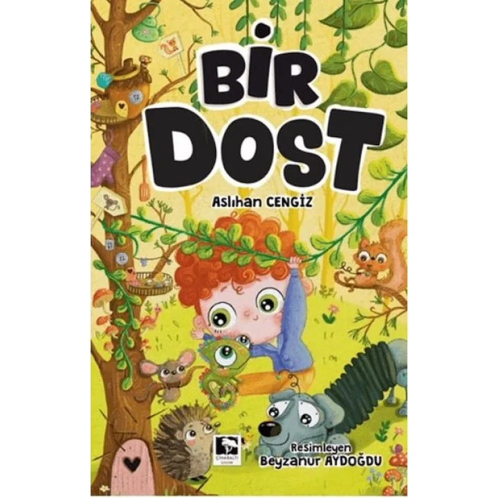 Bir Dost