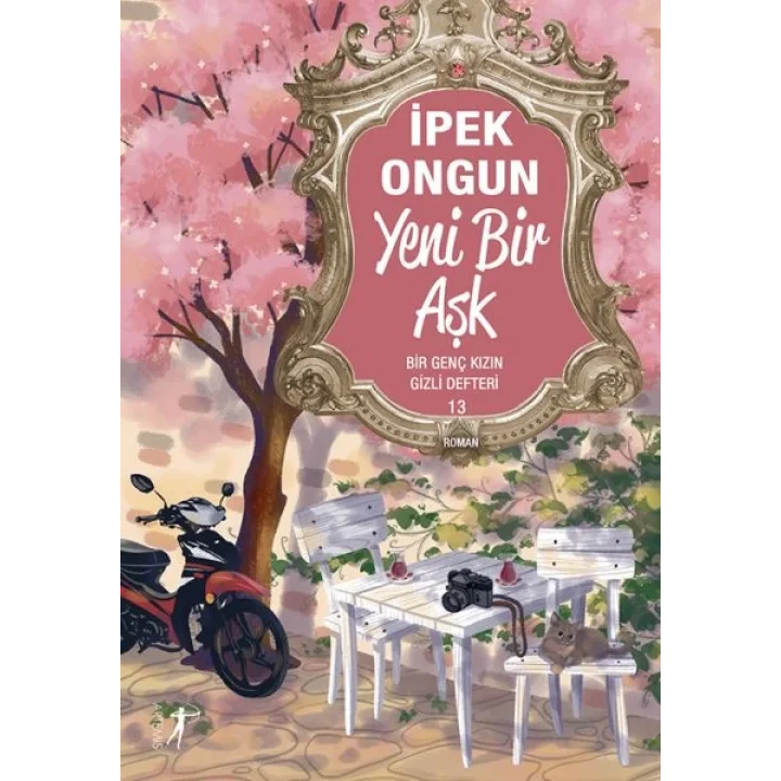 Bir Genç Kızın Gizli Defteri 13 Yeni Bir Aşk