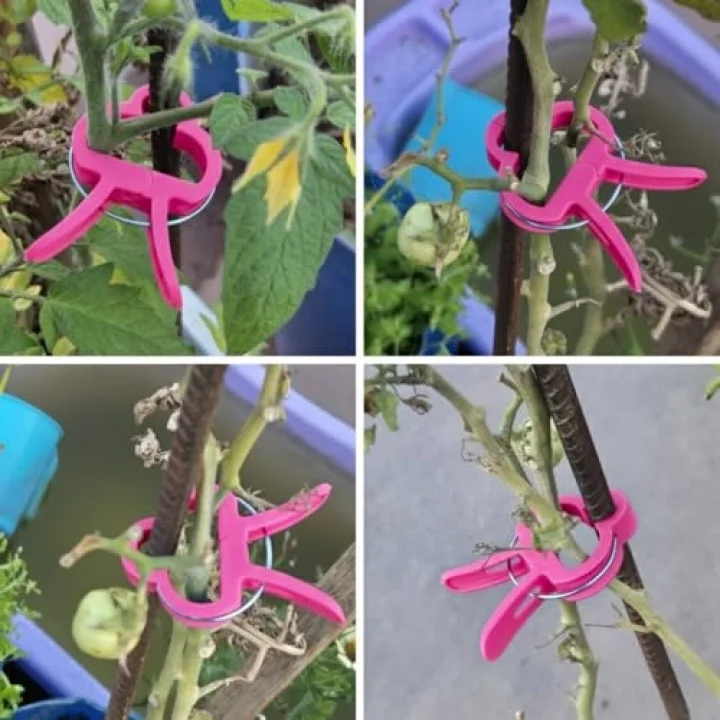 Bitki Bağlama Destek Mandalı 10 Adet Orta Boy (Pembe)