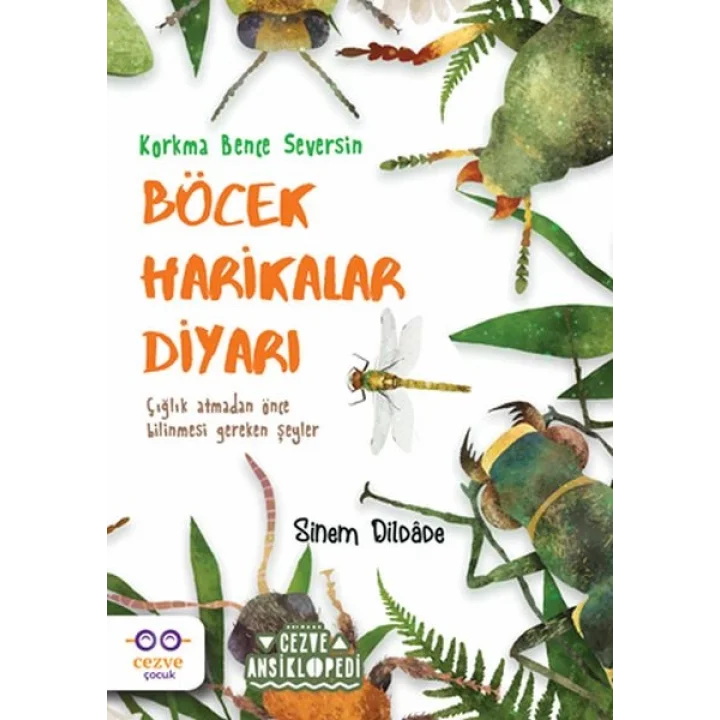 Böcek Harikalar Diyarı