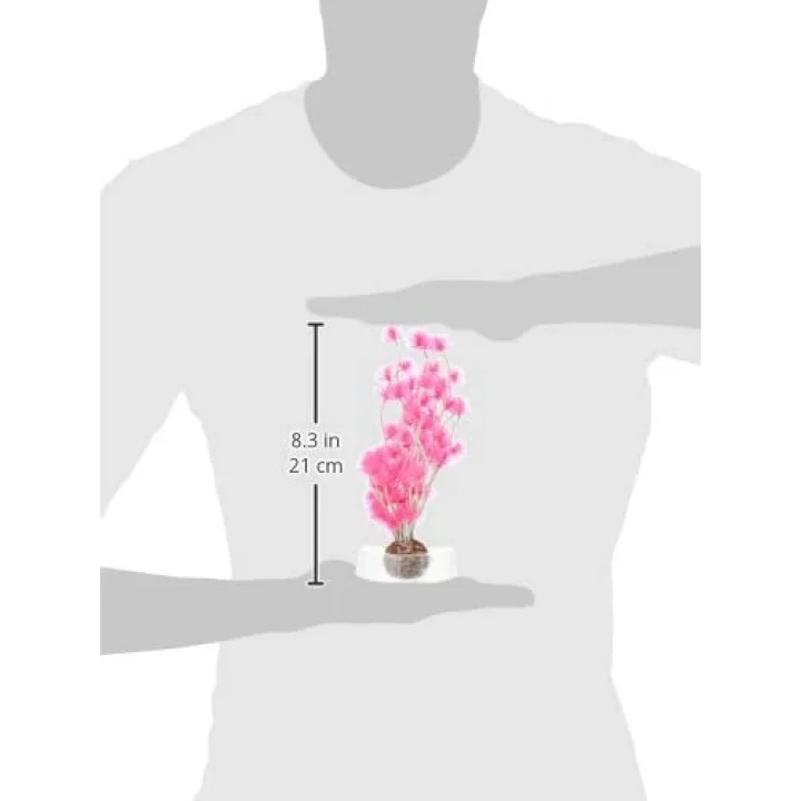 Bonsai Topu Pembe