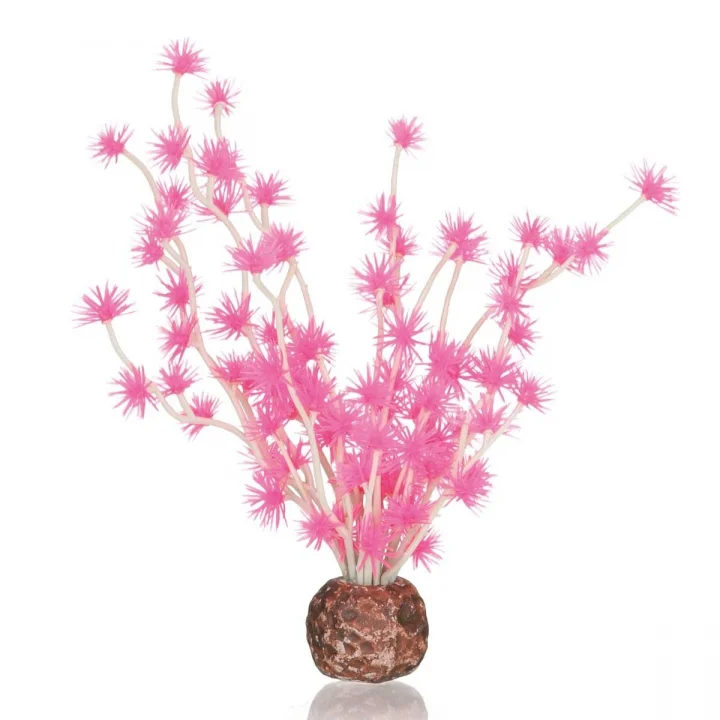 Bonsai Topu Pembe