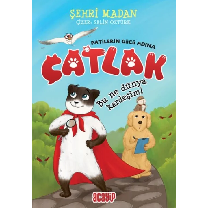 Bu Ne Dünya Kardeşim! - Çatlak - Patilerin Gücü Adına