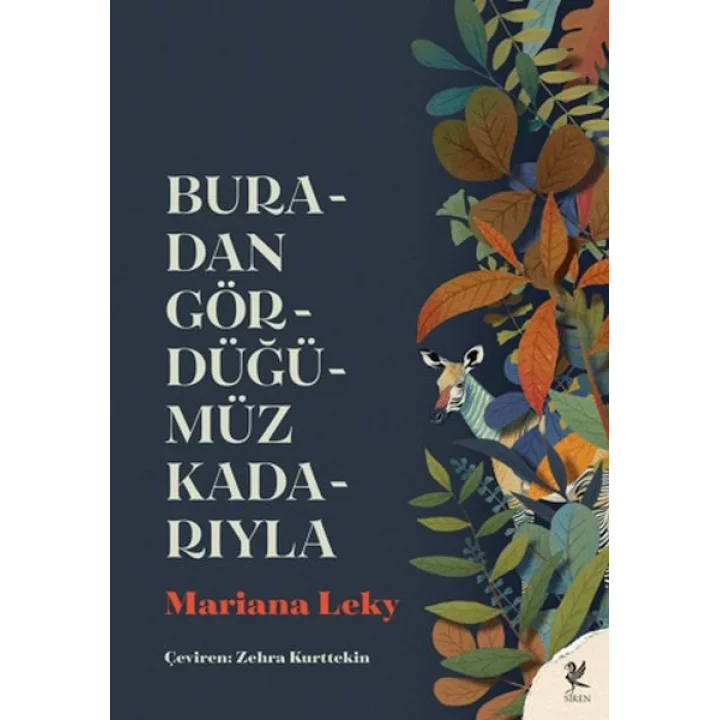 Buradan Gördüğümüz Kadarıyla