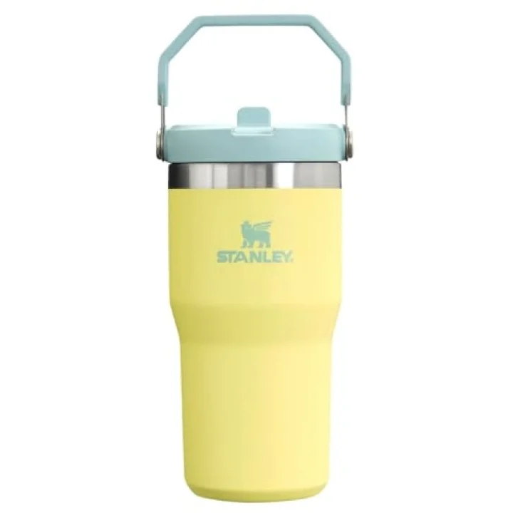 Buz Akışı GO 600ml/20oz Flip Straw Wtr Btl Pomelo