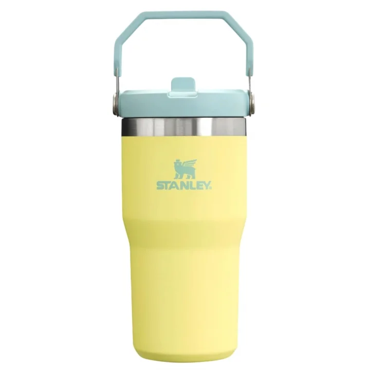 Buz Akışı GO 600ml/20oz Flip Straw Wtr Btl Pomelo