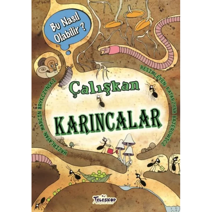 Çalışkan Karıncalar - Bu Nasıl Olabilir?