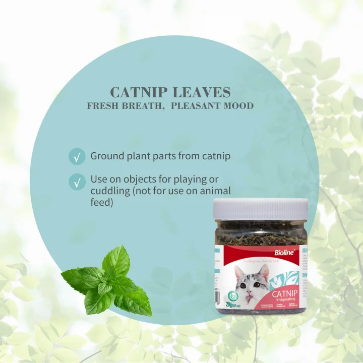 Catnip Kedi Otu 230 ml 20 gr, Asorti
