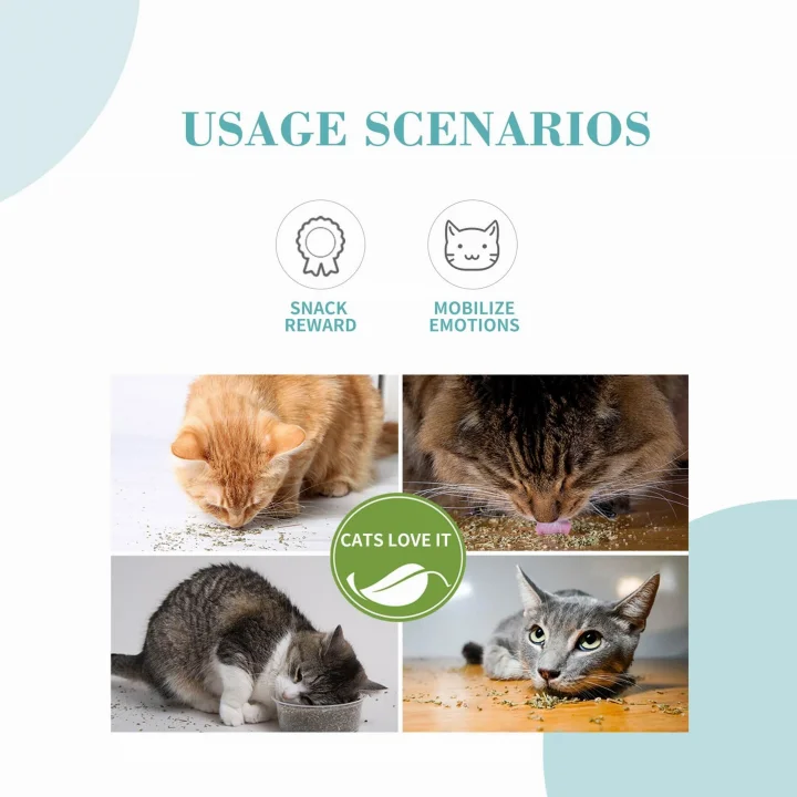 Catnip Kedi Otu 230 ml 20 gr, Asorti