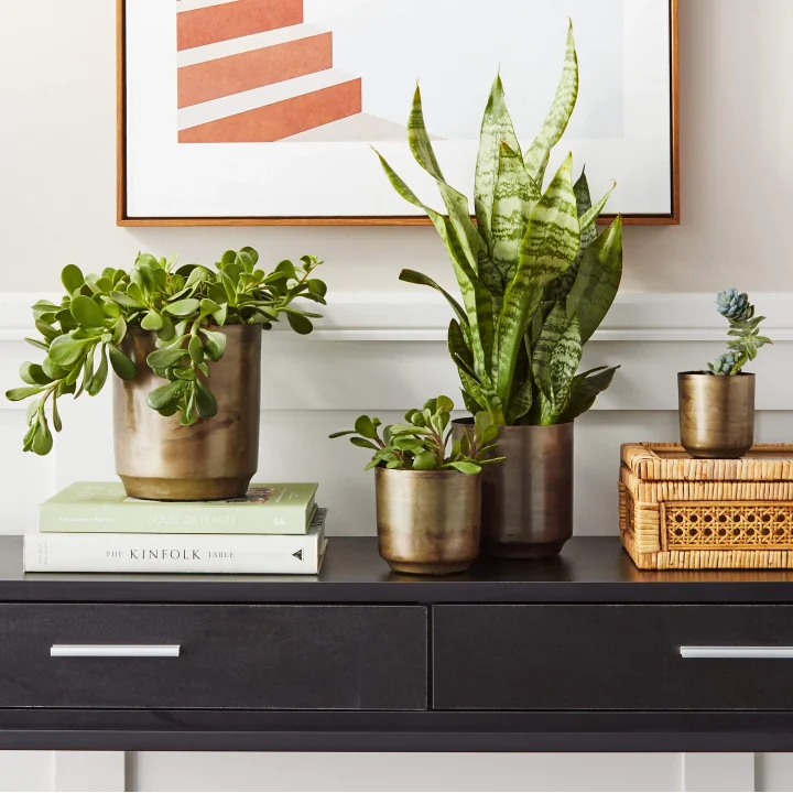 Çiçeklik, metal, pirinç, tek boy