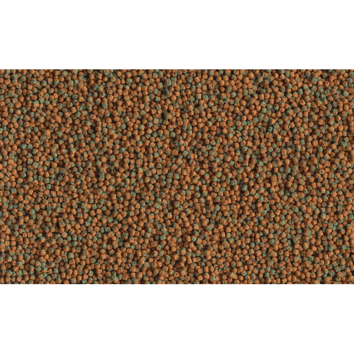 Cichlid Algae 500 ml