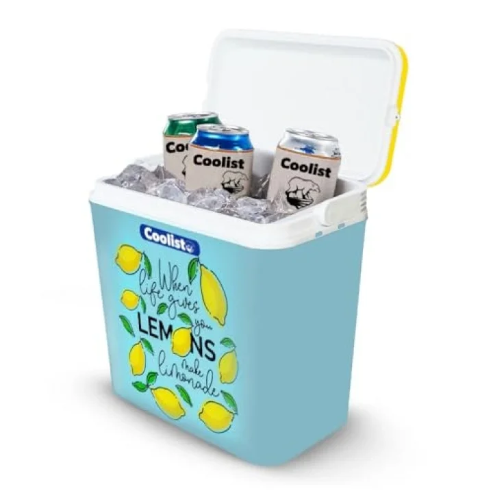 CLB30LM Limon Desenli Buzluk, 30 Litre + 3 Adet Buz Kaseti 400gr