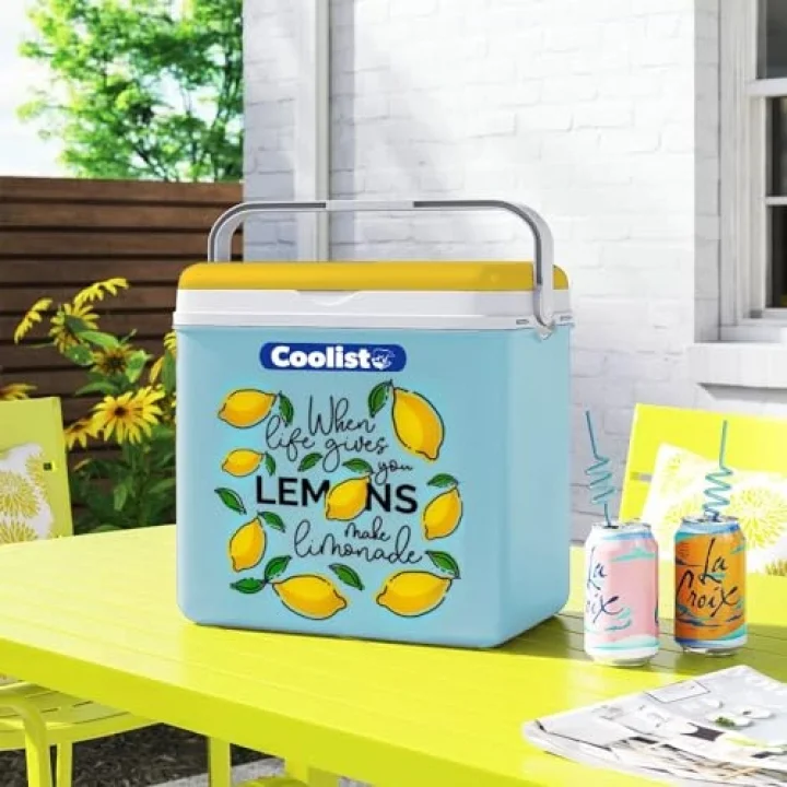 CLB30LM Limon Desenli Buzluk, 30 Litre + 3 Adet Buz Kaseti 400gr