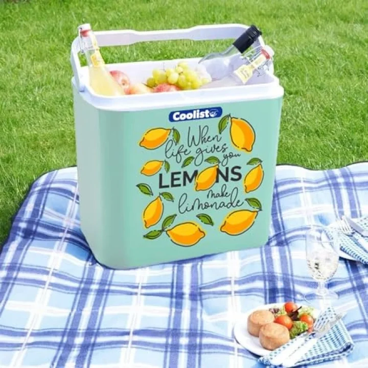 CLB30LM Limon Desenli Buzluk, 30 Litre + 3 Adet Buz Kaseti 400gr