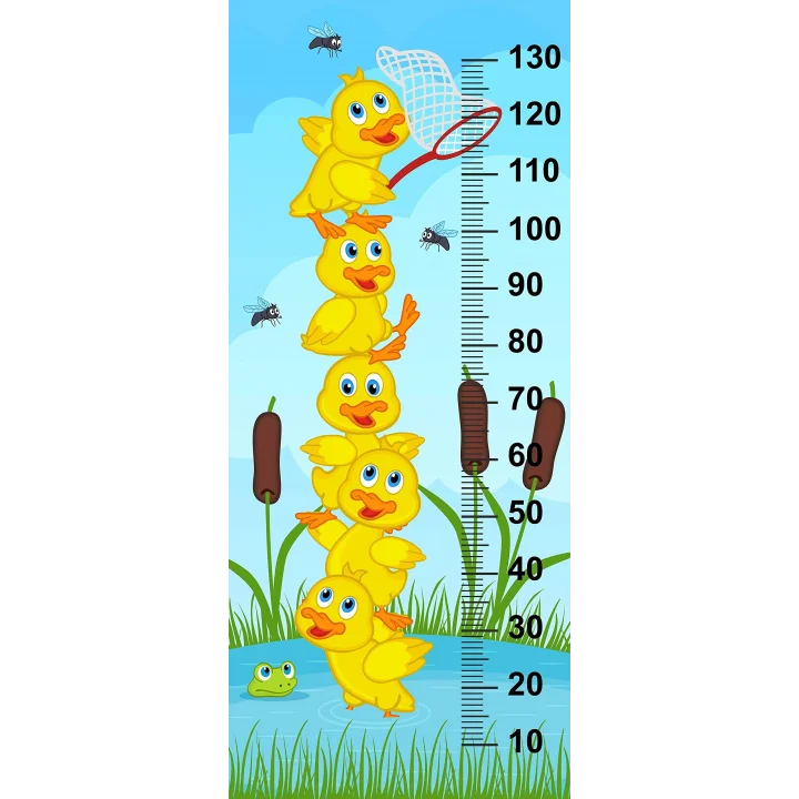 Çocuk Odası Bebek Odası Boy Ölçer Boy Cetveli Sticker Ördekler