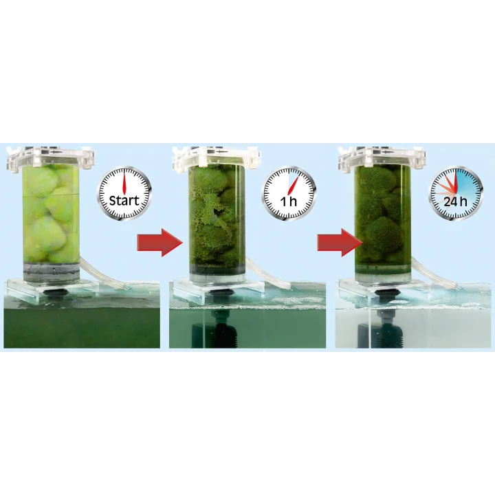 Crystal Clear 6000 Lt