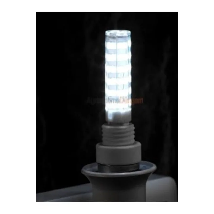Ct-4249 5 Adet 3 Watt Ledli Kapsül G9 Duylu 220V Beyaz Işık Ct-4249B