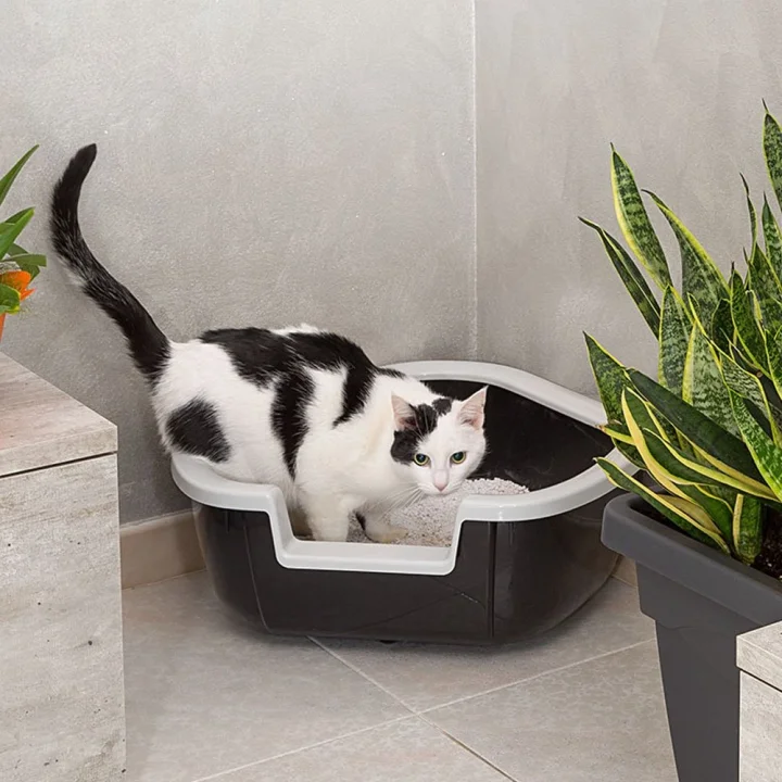 DAMA - Köşe Kedi Tuvaleti