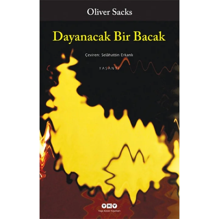 Dayanacak Bir Bacak